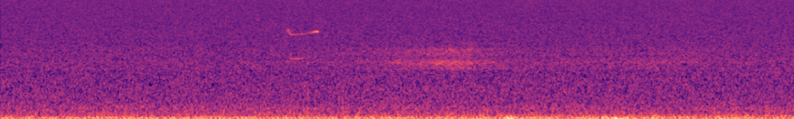 Spectrogram of bird call