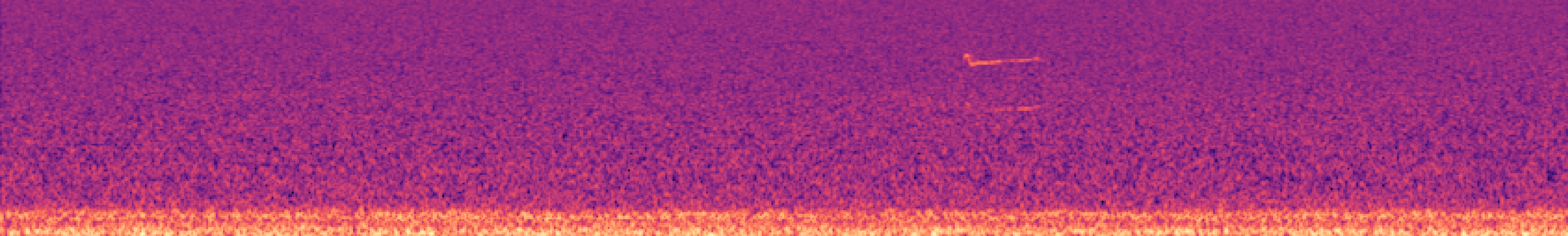 Spectrogram of bird call