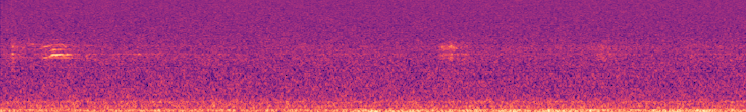 Spectrogram of bird call
