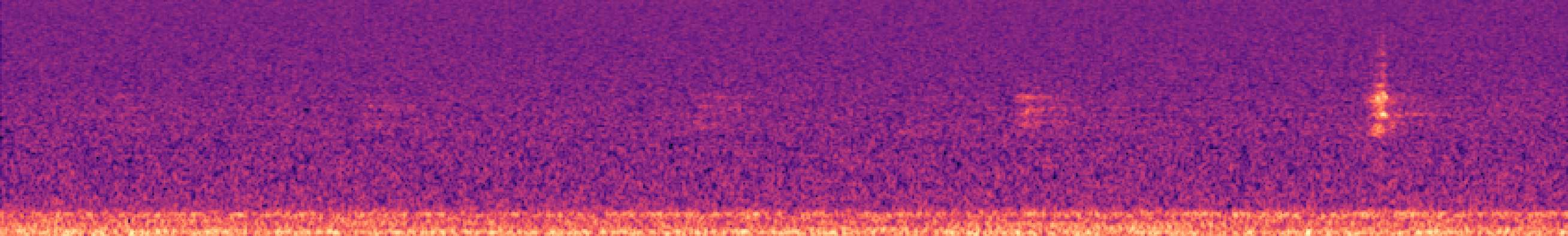 Spectrogram of bird call