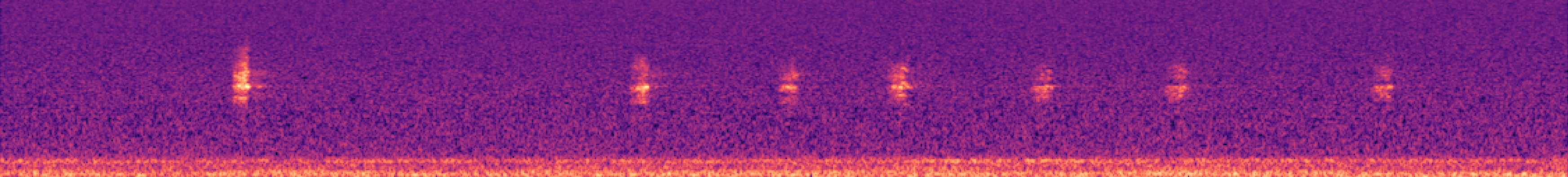 Spectrogram of bird call