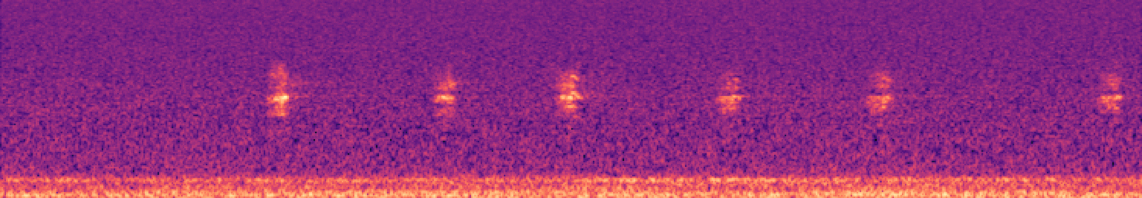 Spectrogram of bird call