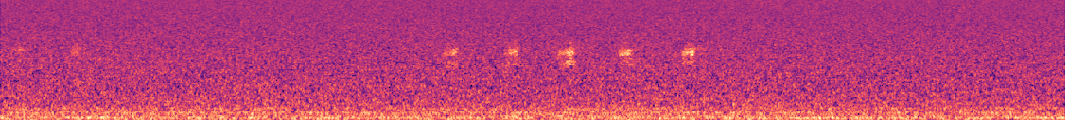 Spectrogram of bird call