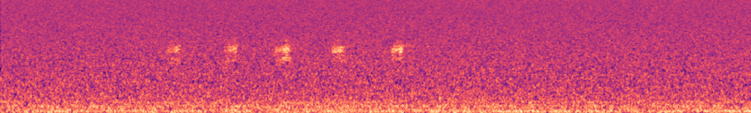 Spectrogram of bird call