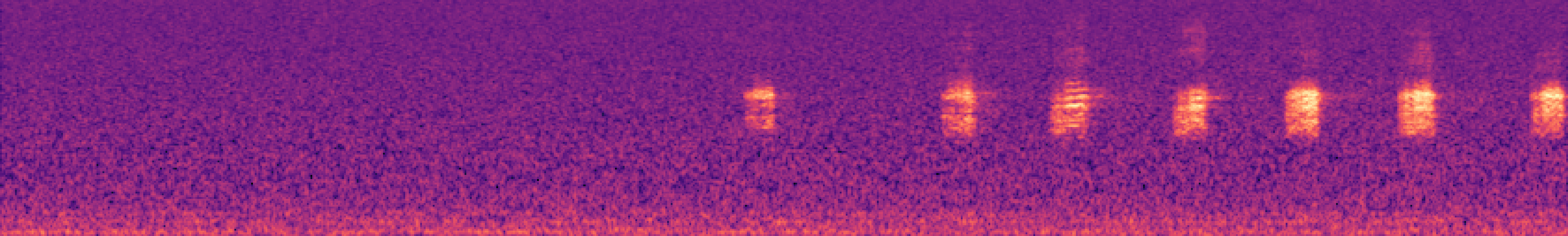 Spectrogram of bird call