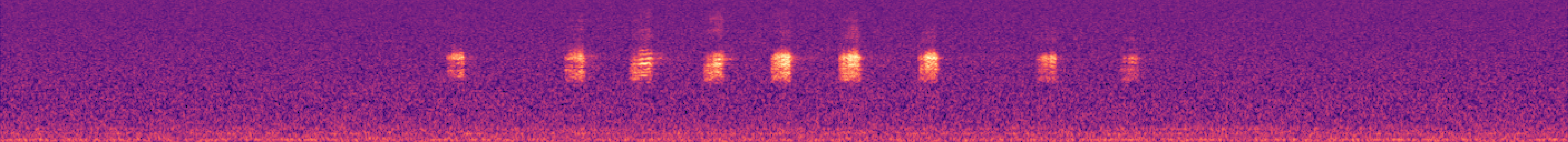 Spectrogram of bird call