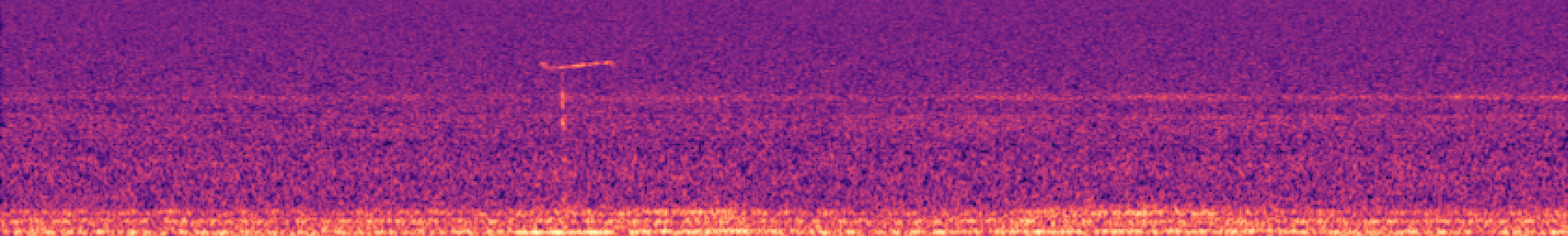 Spectrogram of bird call