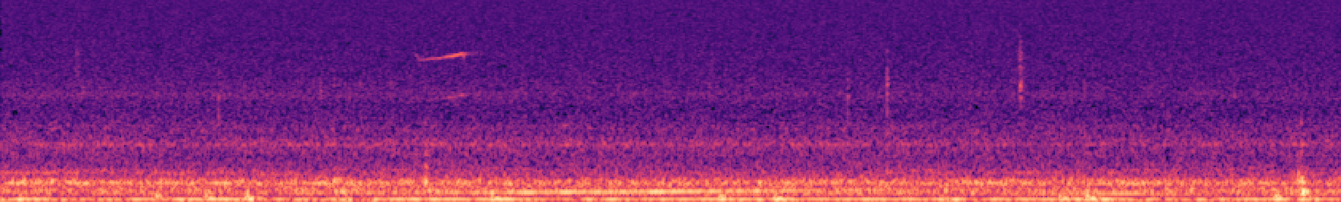 Spectrogram of bird call