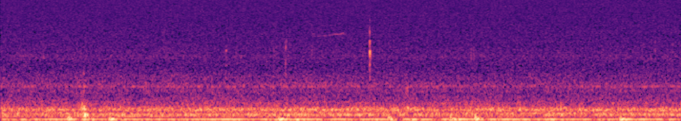 Spectrogram of bird call